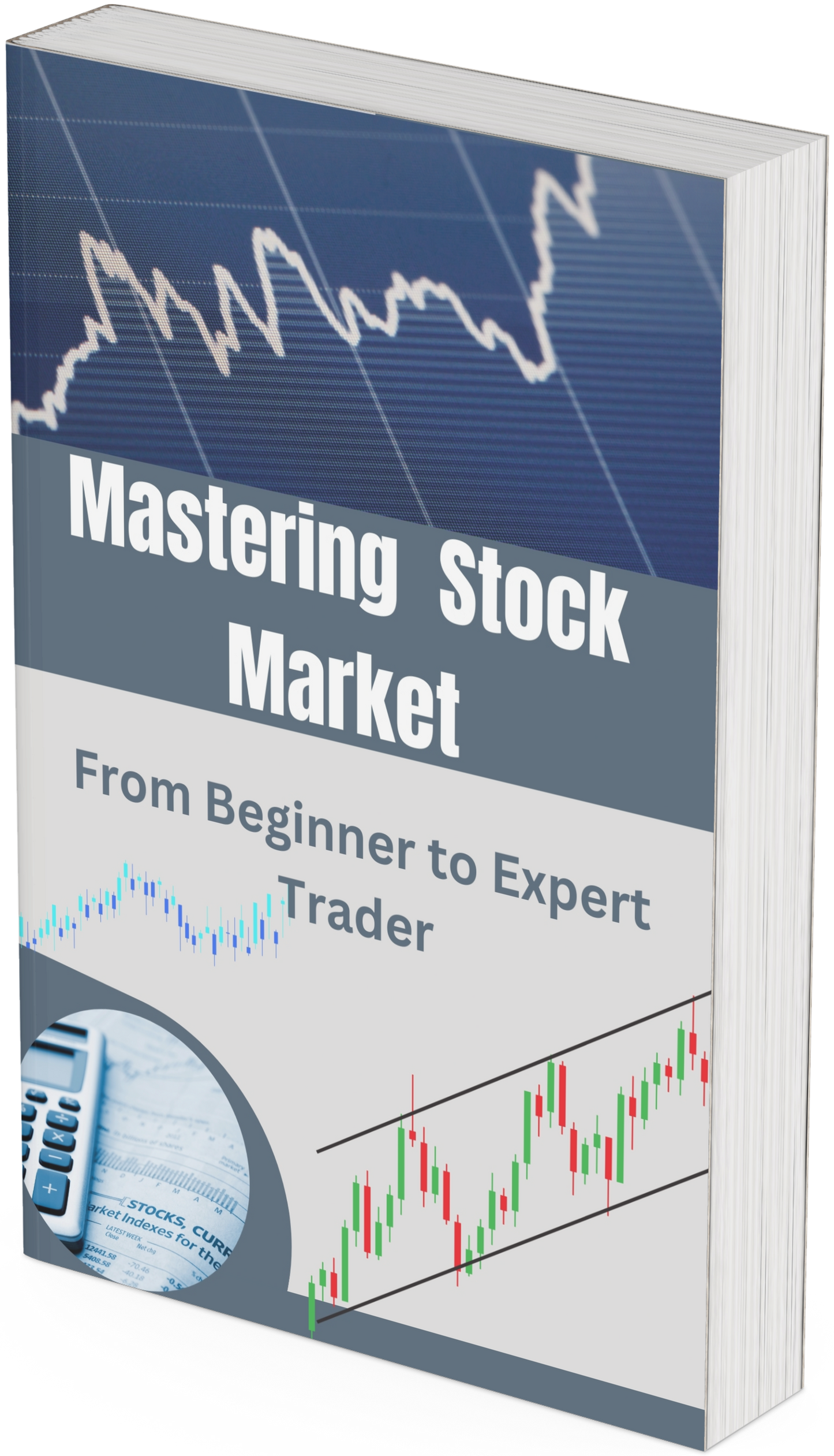 Mastering the Stock Market